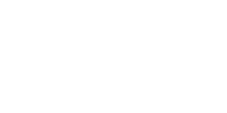 尊龙中国公司佳味LOGO 320x160-2.png